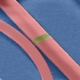 Image for article titled A New Light-Based Memory Chip Could Change the Fundamentals of Computing